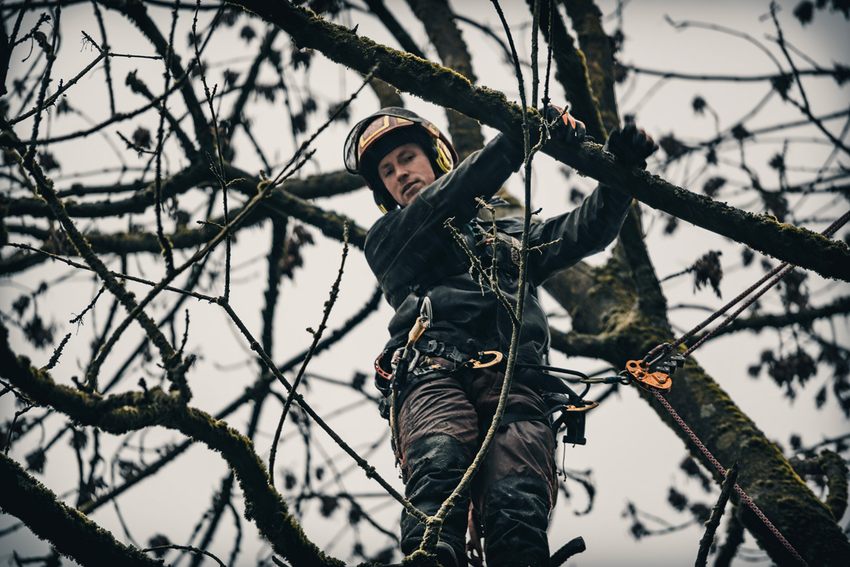 Nahaufnahme eines Baumkletterers in voller Schutzausrüstung bei der Arbeit in der Baumkrone mittels Seilklettertechnik.